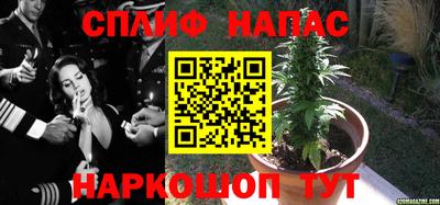 прущий лед Гатчина