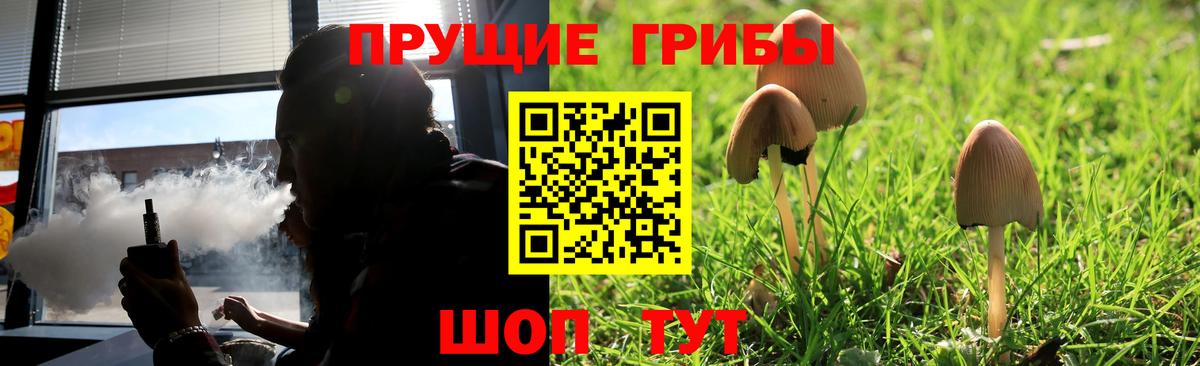 Псилоцибиновые грибы Psilocybine cubensis  купить наркотик  Томск  Вход с VPN 